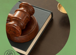 تصريح زواج من وزارة الداخلية السعودية