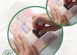افضل 10 خطوات استخراج تأشيرات زيارة عائلية